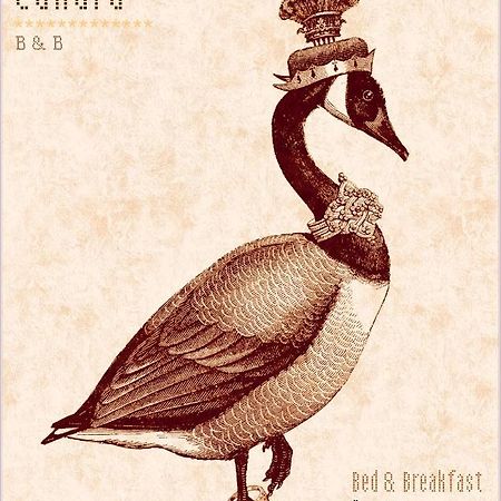 Madame Canard Baveno Ngoại thất bức ảnh